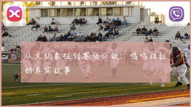 从文化象征到赛场公敌：呜呜祖拉的真实故事