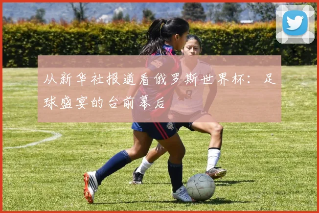 从新华社报道看俄罗斯世界杯：足球盛宴的台前幕后
