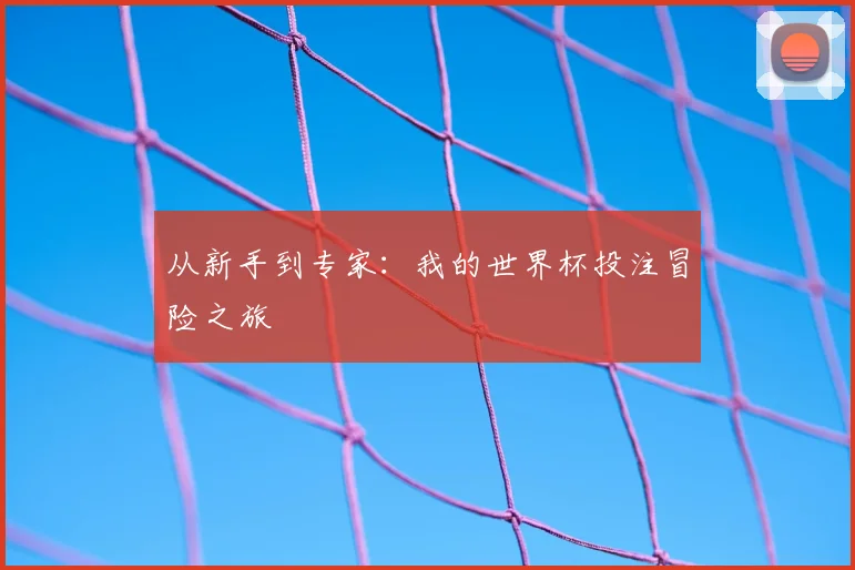 从新手到专家：我的世界杯投注冒险之旅