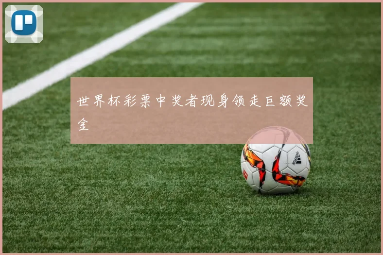 世界杯彩票中奖者现身领走巨额奖金
