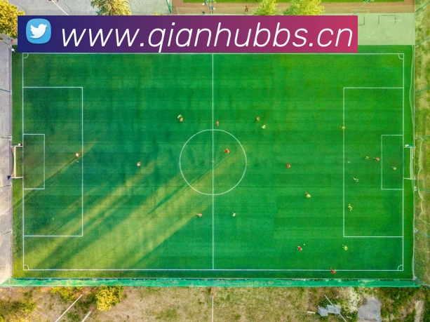 星空体育登录官网入口平台生态图